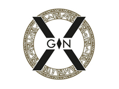 X-GIN